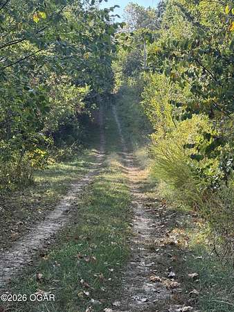 2 Acres of Land for Sale in Arcola, Missouri