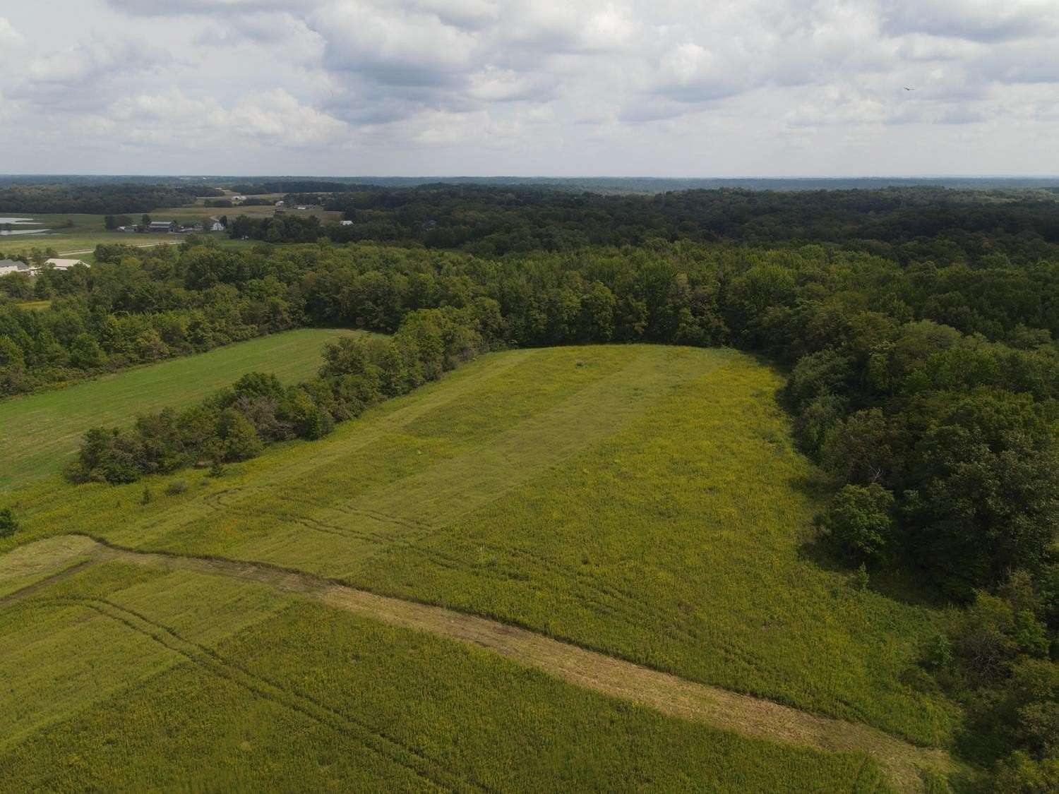 19.8 Acres of Land for Sale in West Harrison, Indiana