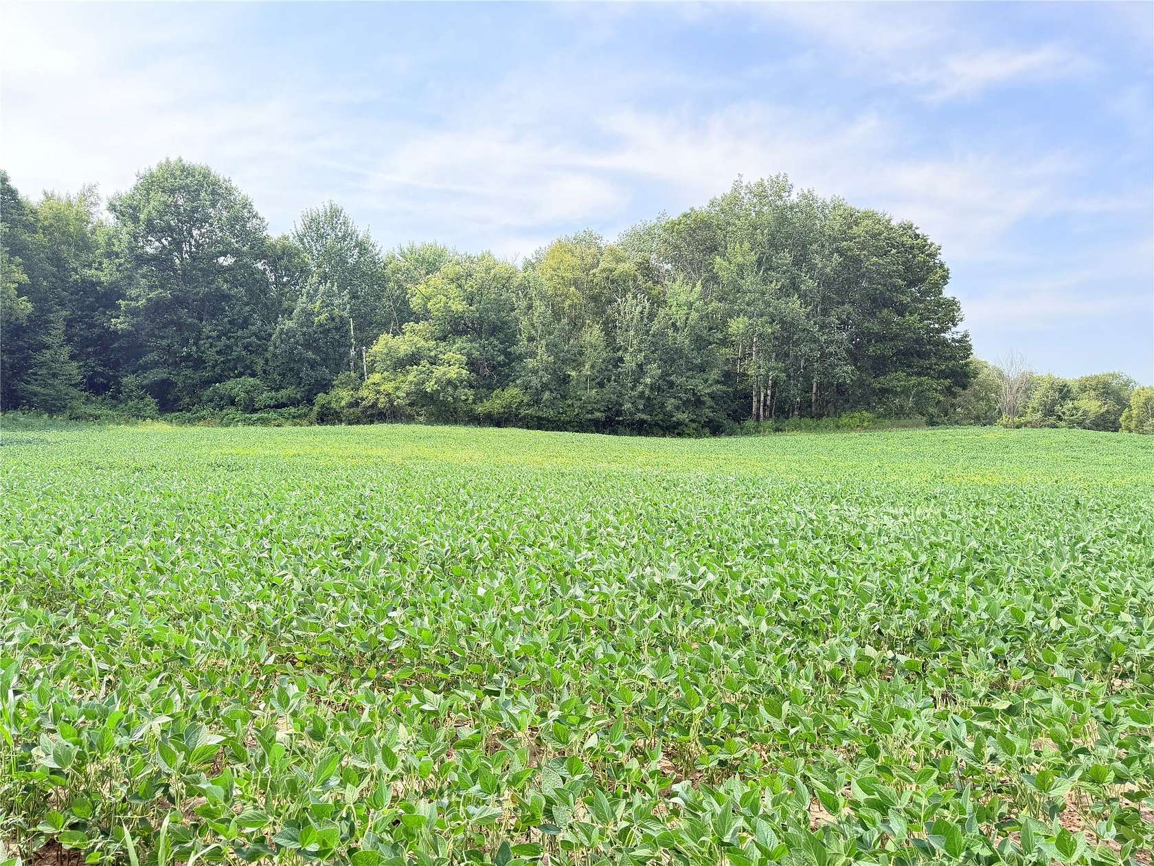 20 Acres of Recreational & Residential Land for Sale in St. Croix Falls, Wisconsin