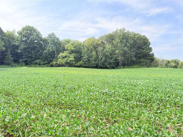20 Acres of Recreational & Residential Land for Sale in St. Croix Falls, Wisconsin