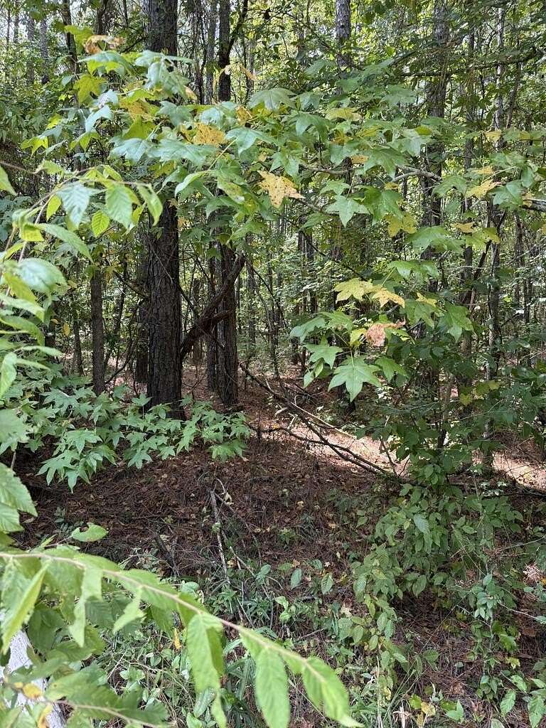 1.48 Acres of Residential Land for Sale in Milledgeville, Georgia