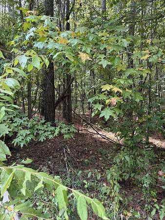 1.48 Acres of Residential Land for Sale in Milledgeville, Georgia