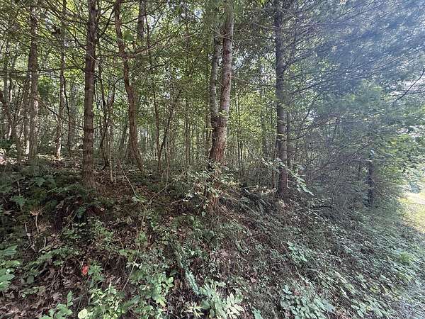 1.33 Acres of Residential Land for Sale in Max Meadows, Virginia