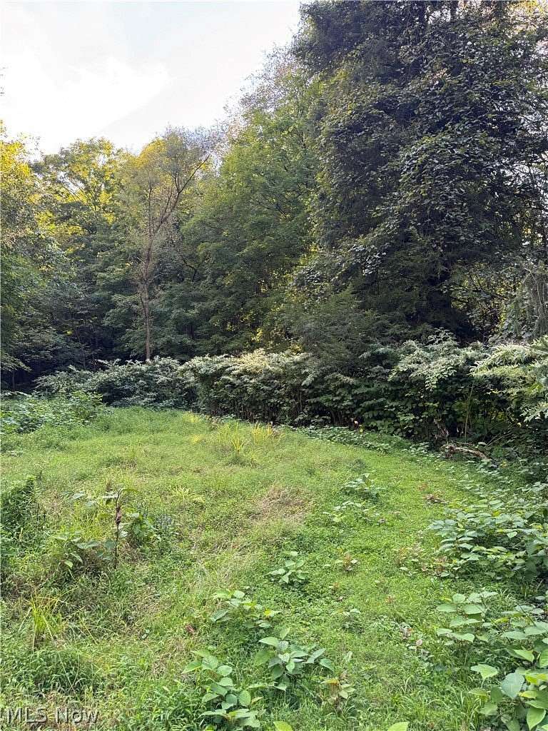 11.4 Acres of Land for Sale in Bellaire, Ohio