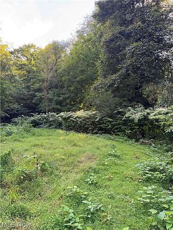 11.4 Acres of Land for Sale in Bellaire, Ohio
