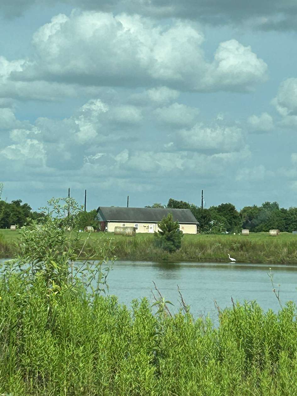 175 Acres of Improved Agricultural Land for Lease in Waller, Texas
