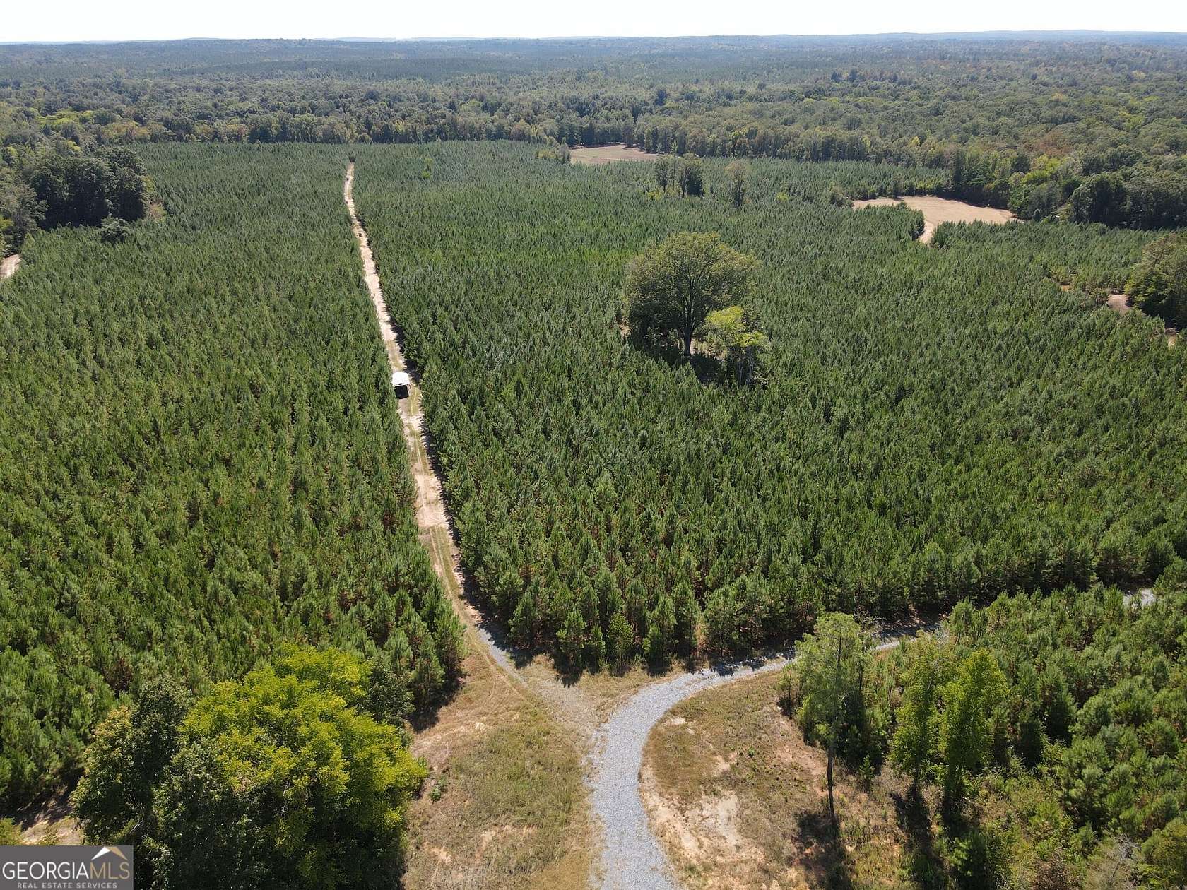 126 Acres of Recreational Land for Sale in Lizella, Georgia