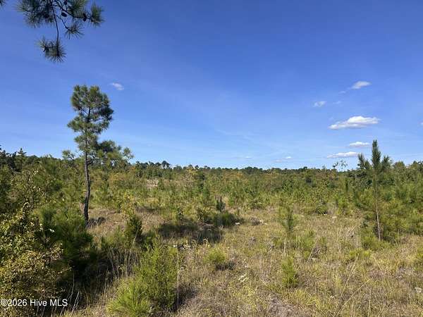 42.7 Acres of Land for Sale in Plum Branch, South Carolina