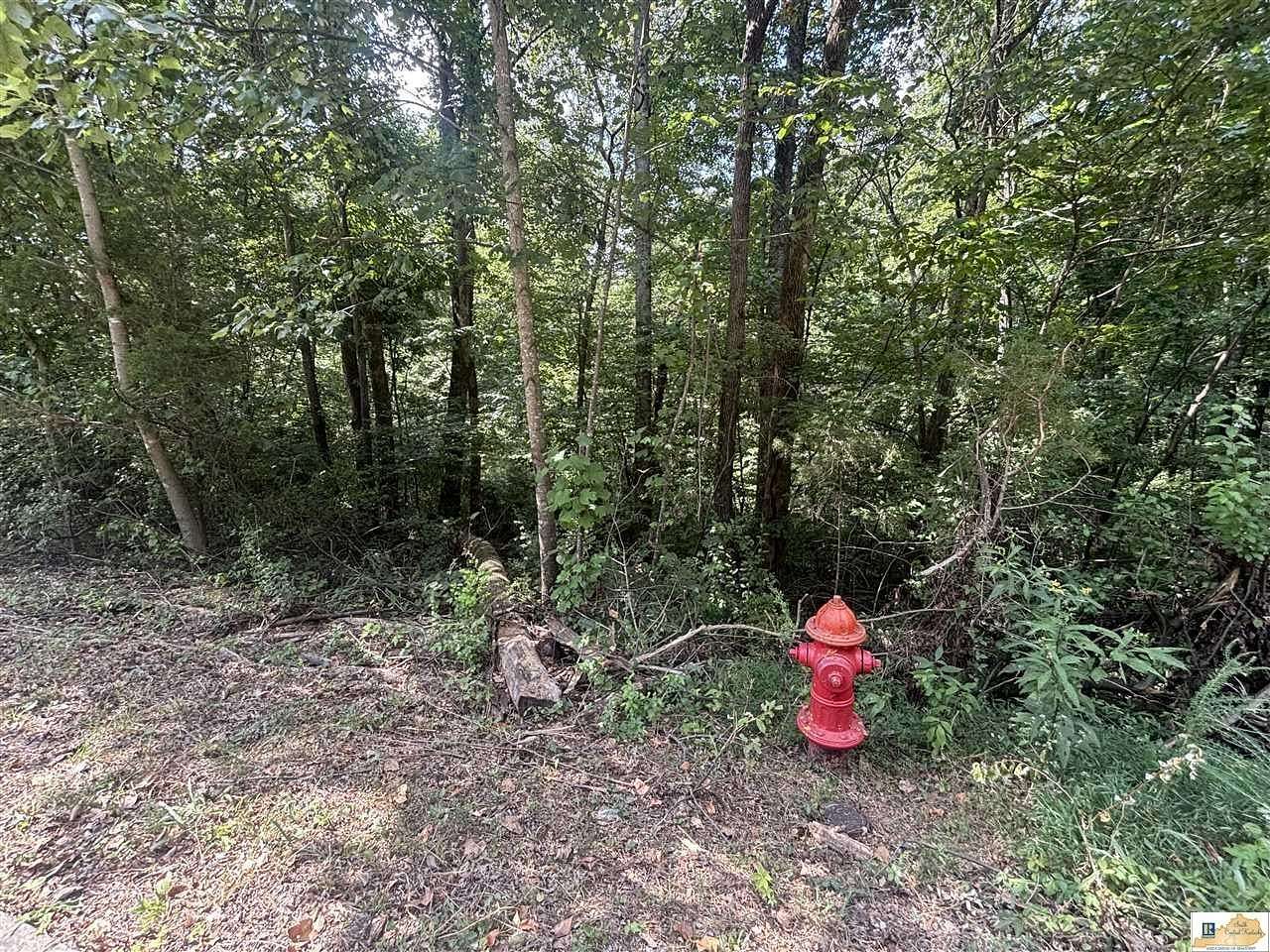 1.32 Acres of Residential Land for Sale in Glasgow, Kentucky