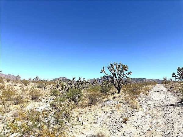 1 Acre of Residential Land for Sale in Dolan Springs, Arizona