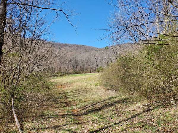 205 Acres of Land for Sale in Moravian Falls, North Carolina