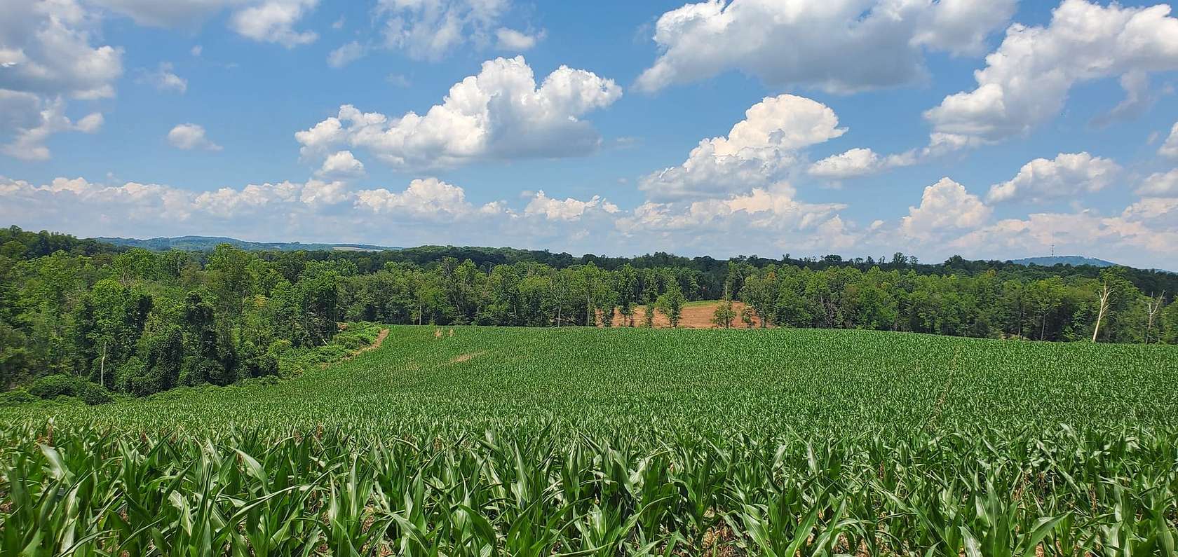 500 Acres of Land for Sale in Hamptonville, North Carolina