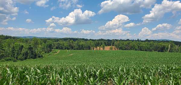 500 Acres of Land for Sale in Hamptonville, North Carolina