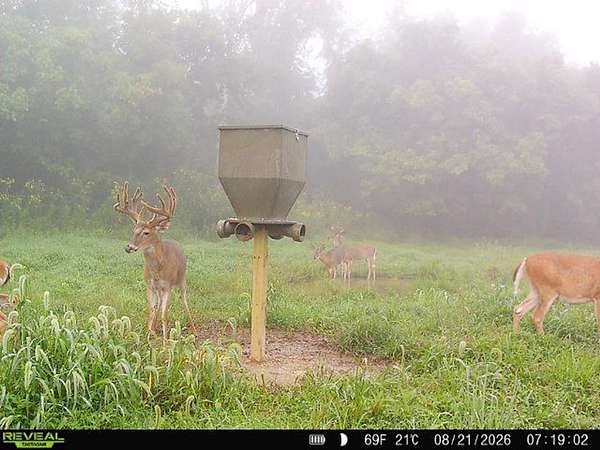 88.6 Acres of Recreational Land for Sale in Belmont, Ohio