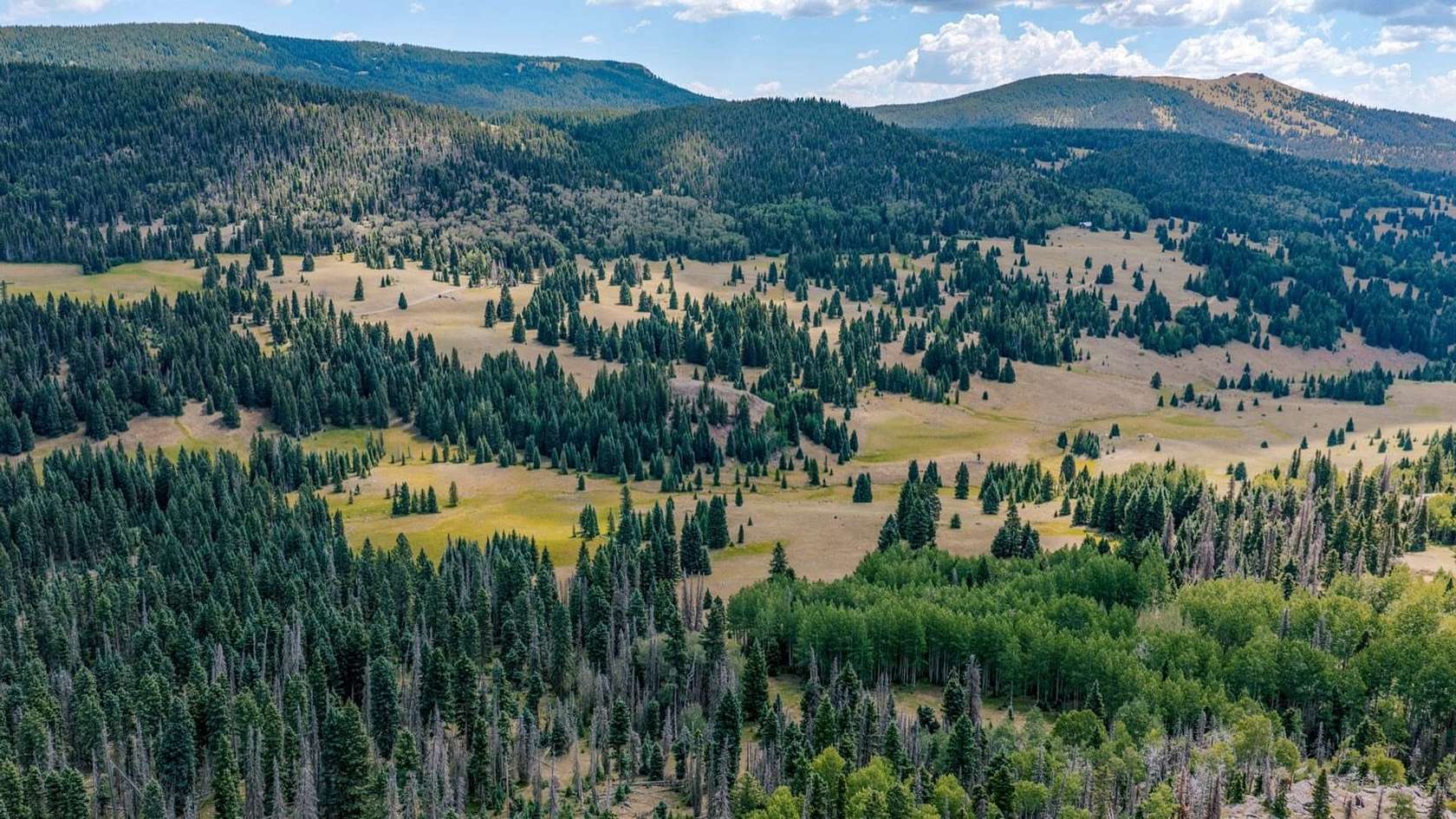 695 Acres of Land for Sale in Chama, New Mexico