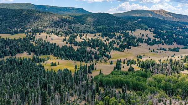 695 Acres of Land for Sale in Chama, New Mexico