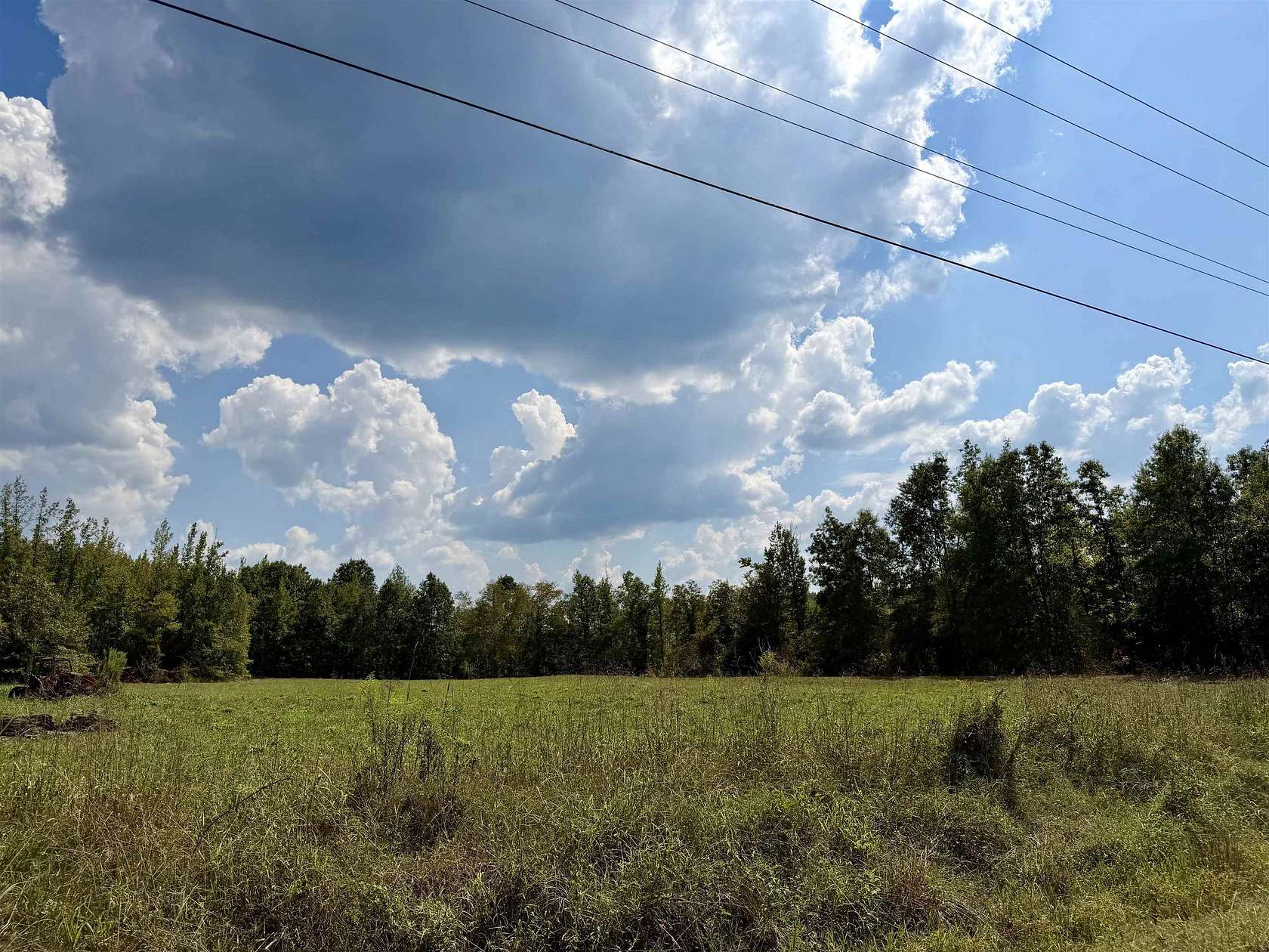 226 Acres of Recreational & Residential Land for Sale in Selmer, Tennessee