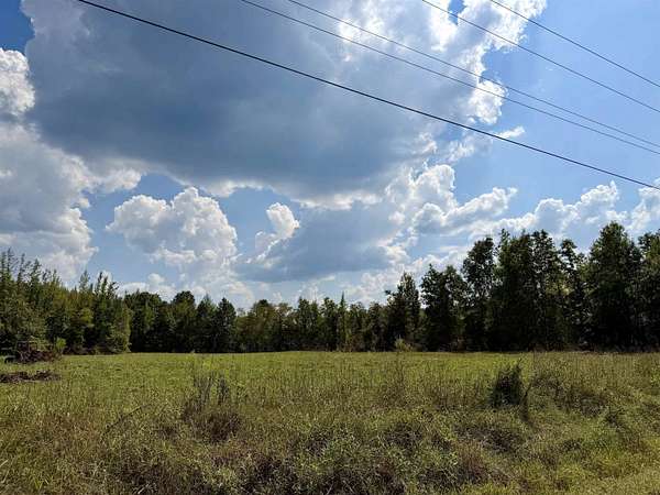 226 Acres of Recreational & Residential Land for Sale in Selmer, Tennessee
