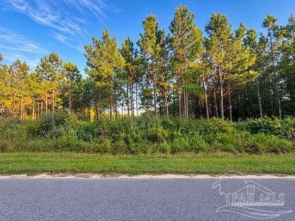 5.85 Acres of Residential Land for Sale in Pace, Florida