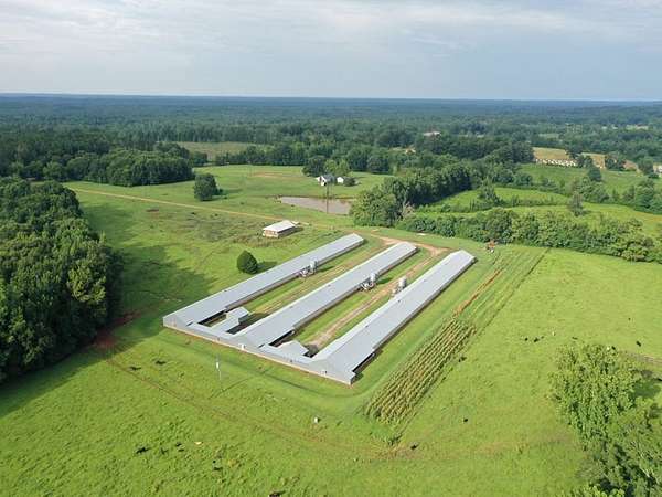 10 Acres of Agricultural Land for Sale in Shubuta, Mississippi
