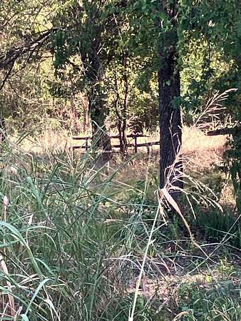 206 Acres of Land for Sale in Honey Grove, Texas