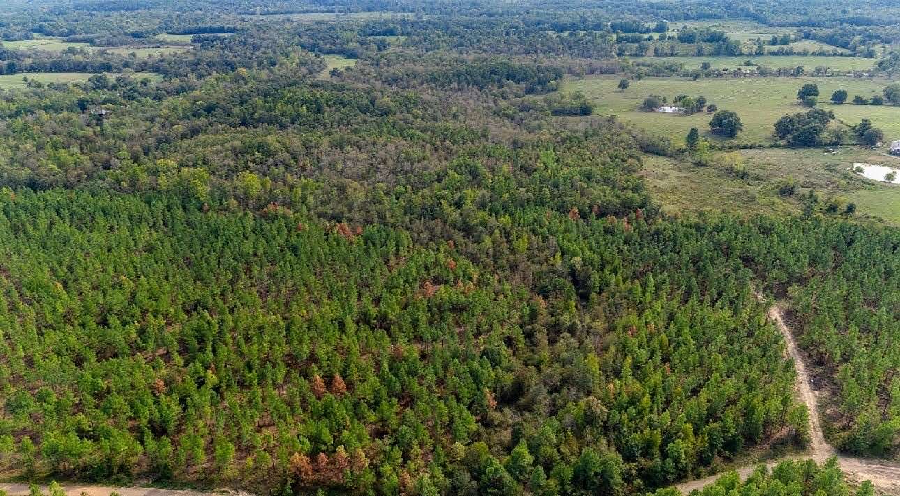 60 Acres of Recreational & Residential Land for Sale in Battiest, Oklahoma