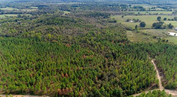 60 Acres of Recreational & Residential Land for Sale in Battiest, Oklahoma