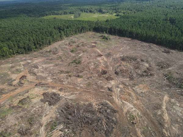 60 Acres of Recreational & Residential Land for Sale in Vossburg, Mississippi