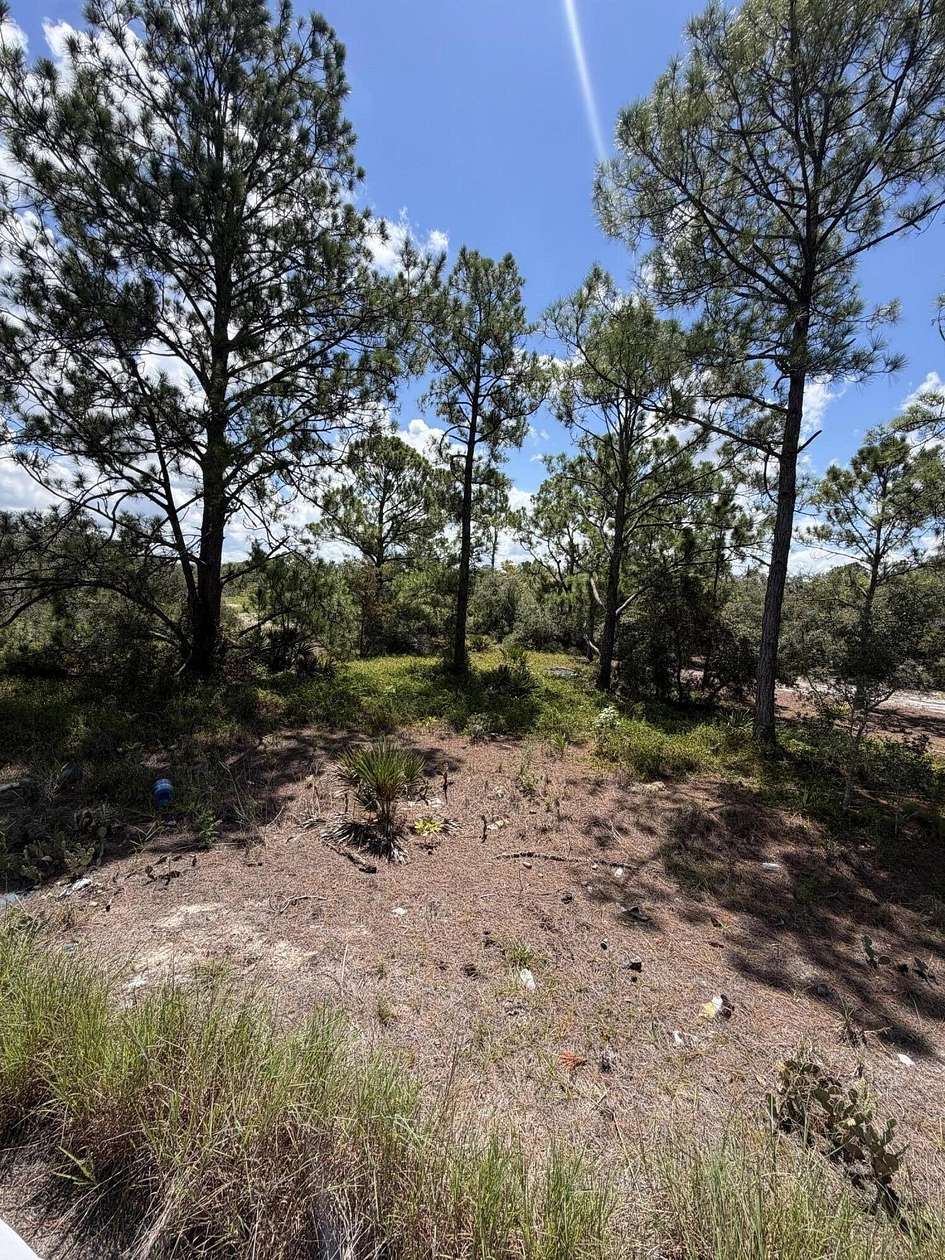 0.22 Acres of Residential Land for Sale in Lake Placid, Florida