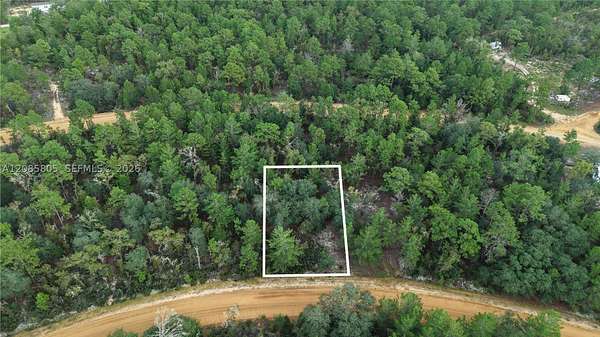 0.26 Acres of Residential Land for Sale in Interlachen, Florida
