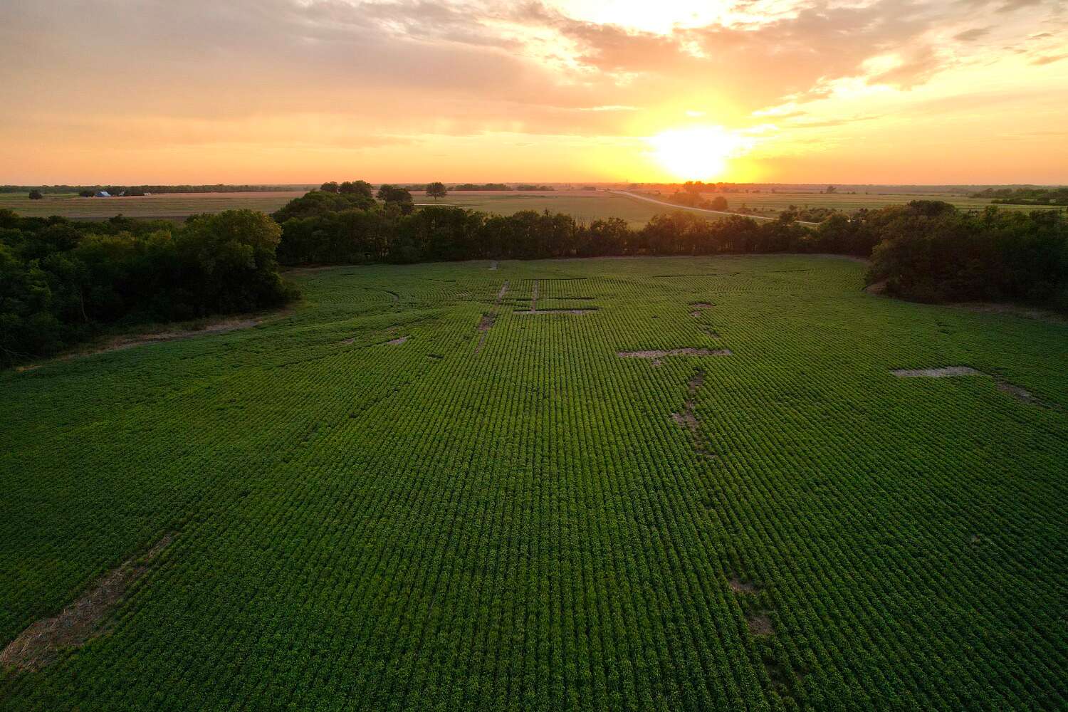 58 Acres of Land for Sale in Erie, Kansas