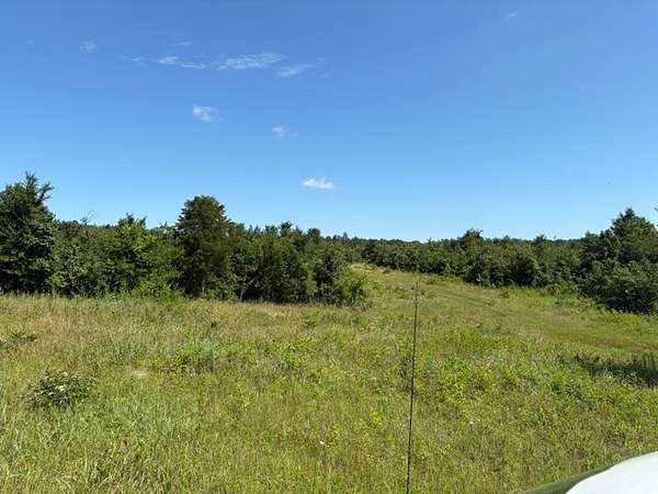 20 Acres of Land for Sale in Ash Flat, Arkansas