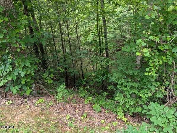 0.4 Acres of Residential Land for Sale in Gatlinburg, Tennessee
