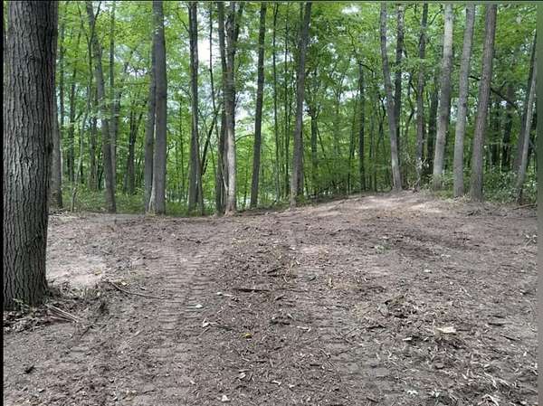 1 Acre of Residential Land for Sale in Howard City, Michigan