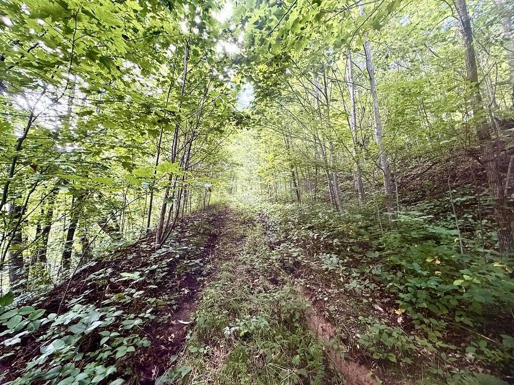 37.5 Acres of Recreational & Residential Land for Sale in Waynesville, North Carolina
