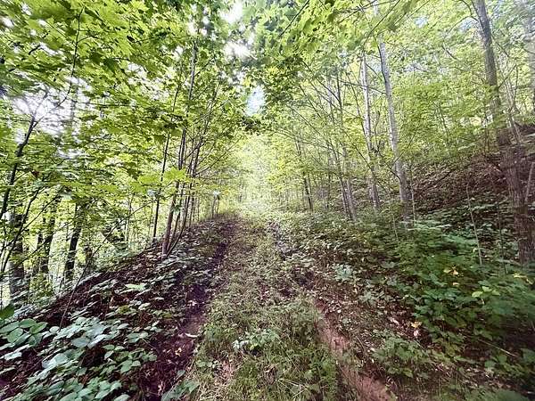 37.5 Acres of Recreational & Residential Land for Sale in Waynesville, North Carolina