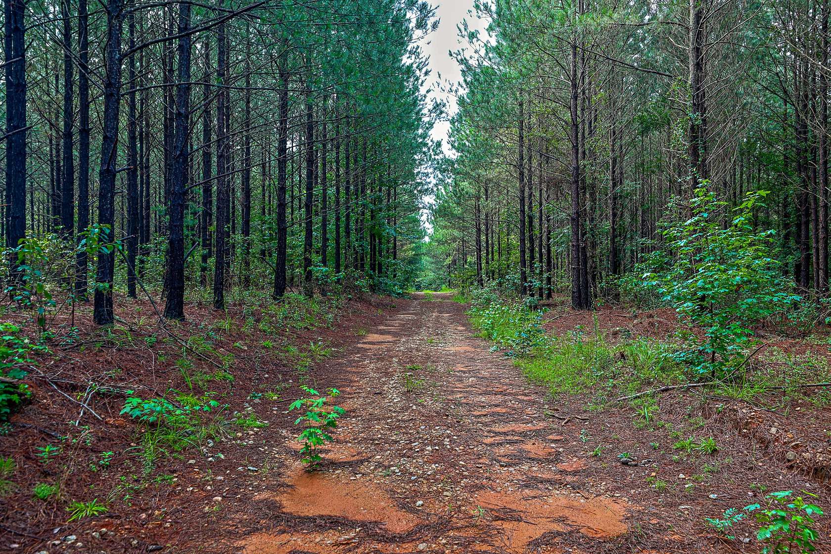 311 Acres of Recreational Land for Sale in Eatonton, Georgia