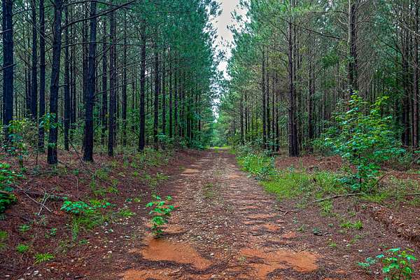 311 Acres of Recreational Land for Sale in Eatonton, Georgia