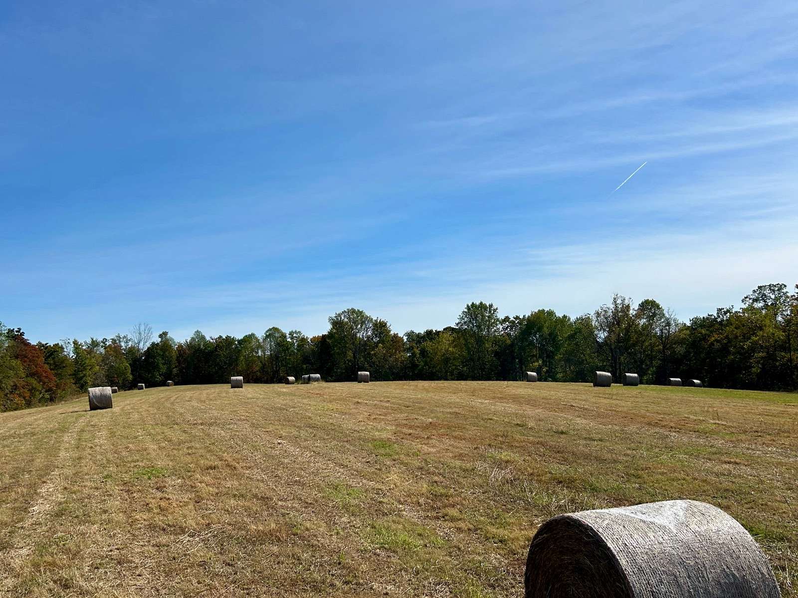 165 Acres of Land for Sale in Elkhorn City, Kentucky