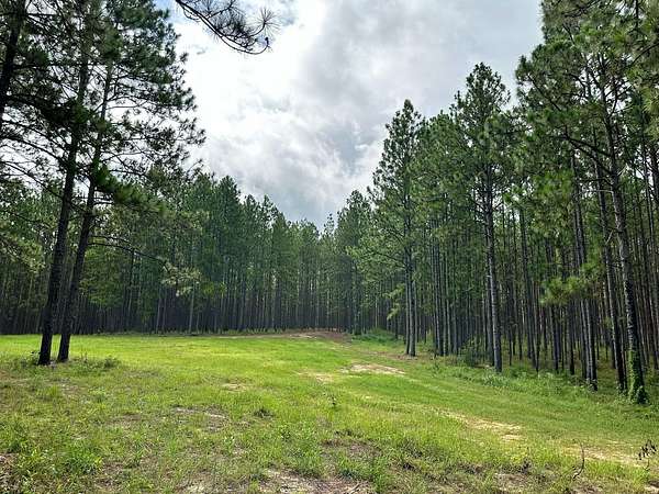 240 Acres of Land for Sale in Lumberton, Mississippi