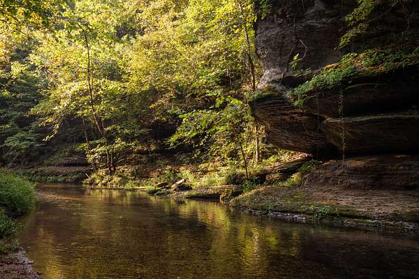 153 Acres of Land for Sale in Nunnelly, Tennessee