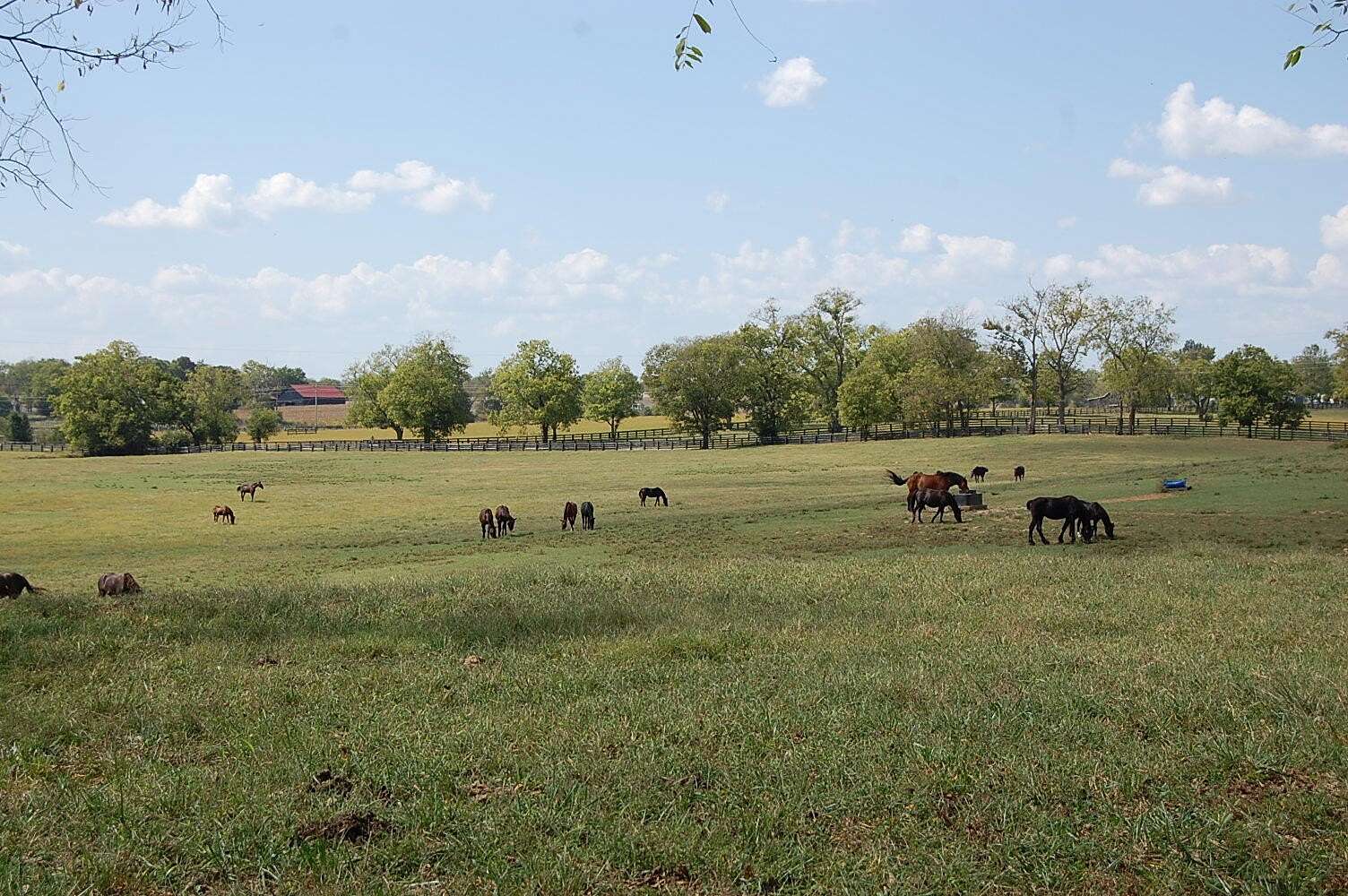 51 Acres of Agricultural Land with Home for Sale in Paris, Kentucky