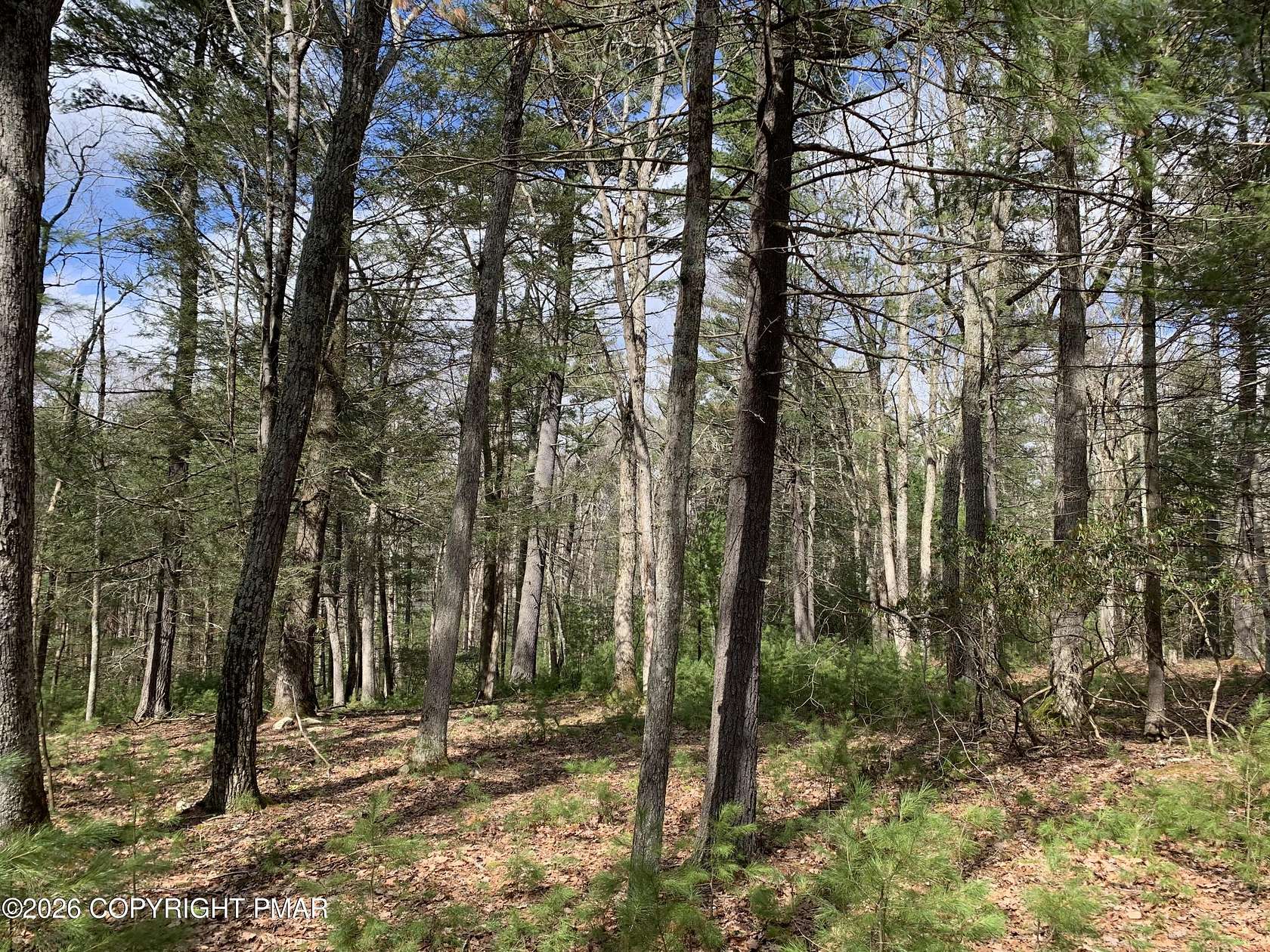 1 Acre of Residential Land for Sale in Dingmans Ferry, Pennsylvania