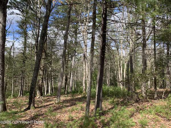 1 Acre of Residential Land for Sale in Dingmans Ferry, Pennsylvania