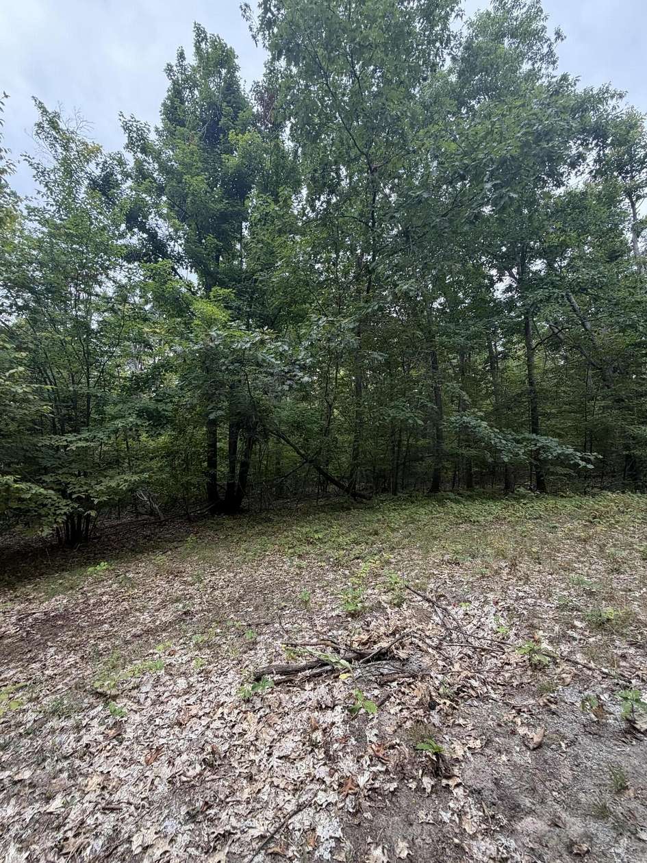 10 Acres of Land for Sale in Afton, Michigan
