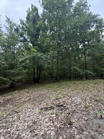 10 Acres of Land for Sale in Afton, Michigan
