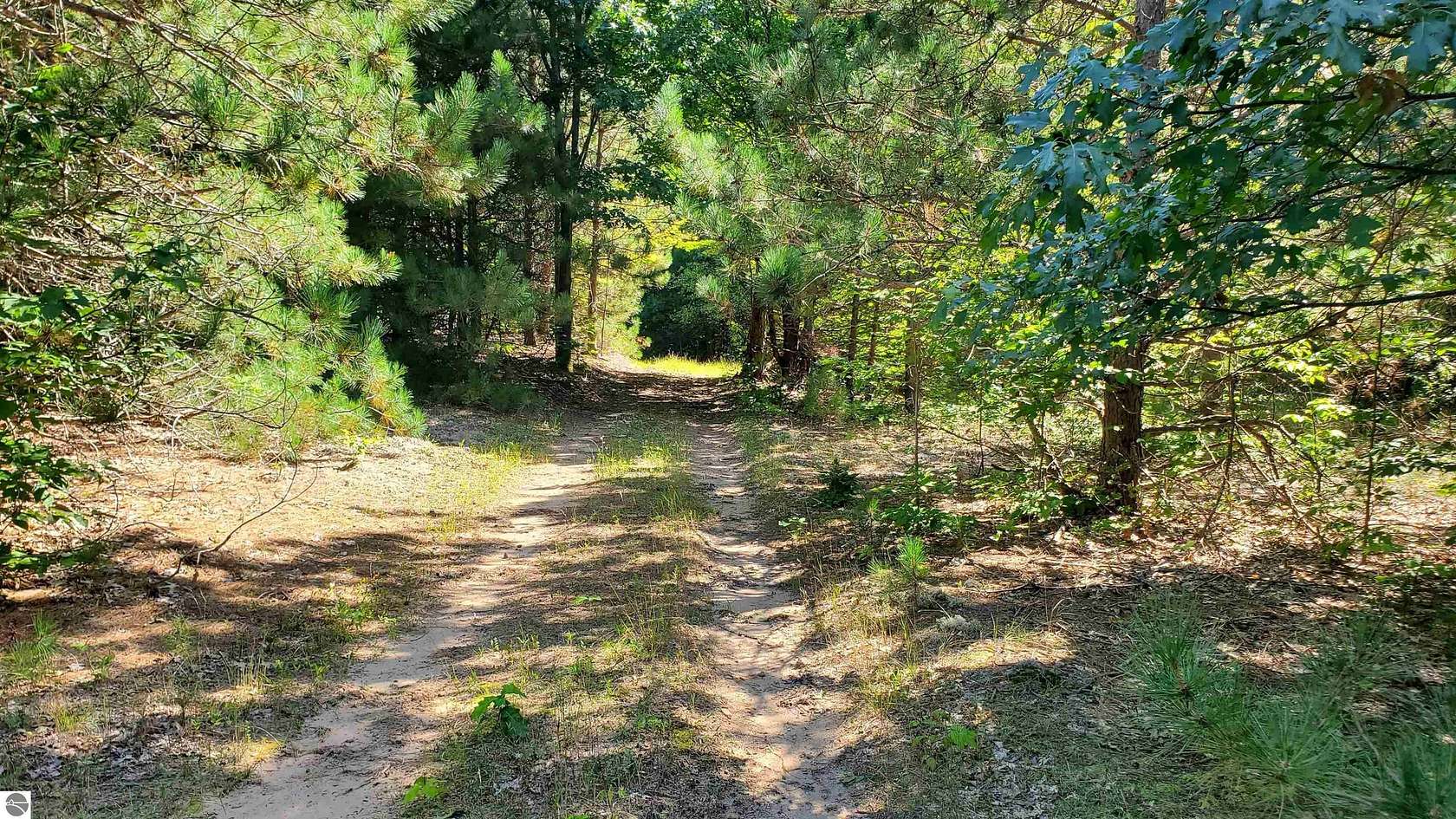 19.8 Acres of Recreational & Residential Land for Sale in Copemish, Michigan