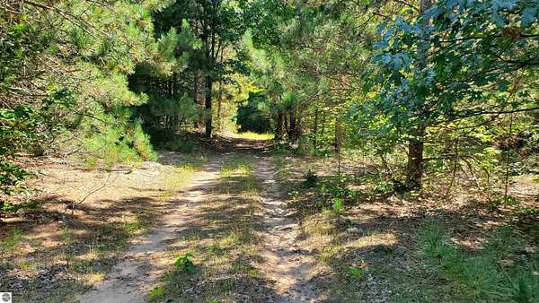 19.8 Acres of Recreational & Residential Land for Sale in Copemish, Michigan