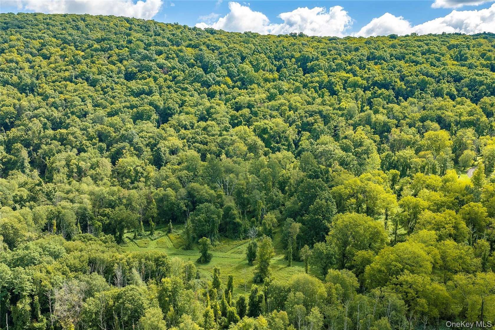 84.3 Acres of Land for Sale in Pawling, New York