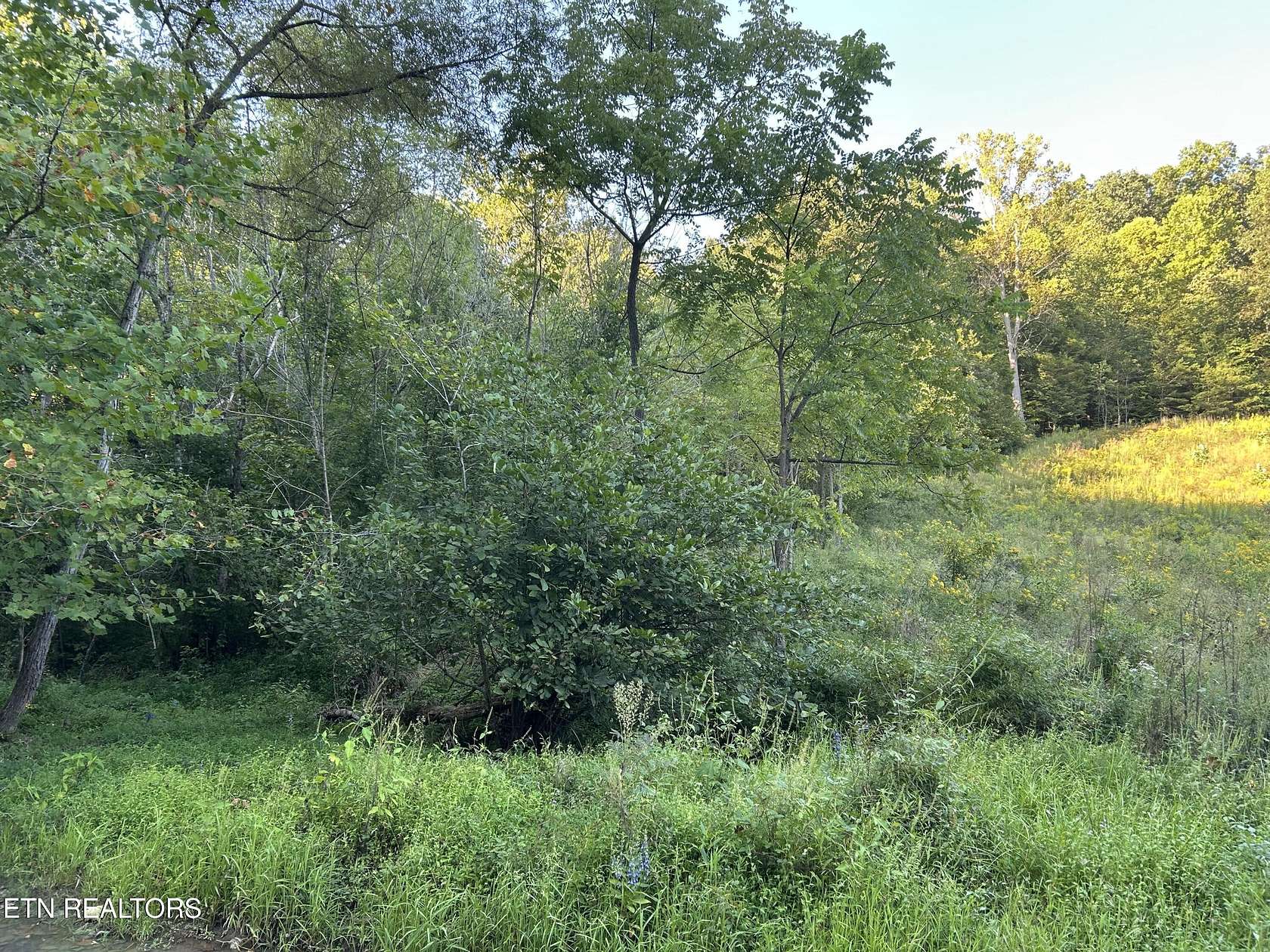 27 Acres of Recreational & Residential Land for Sale in Rogersville, Tennessee